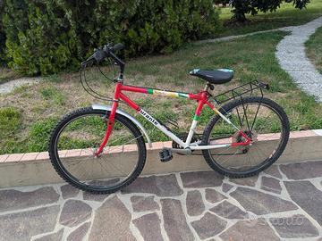 bicicletta Mountain bike 