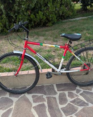 bicicletta Mountain bike 