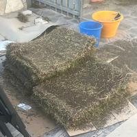 Terriccio circa 300metri cubi e 5 zolle gramigna