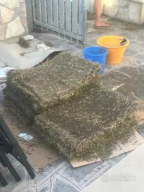 Terriccio circa 300metri cubi e 5 zolle gramigna