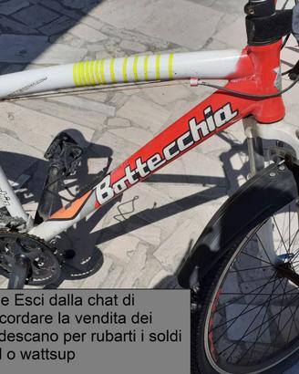 Bici Bottecchia