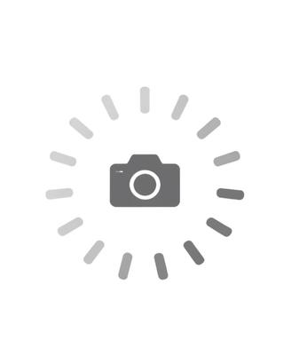 CITROEN C4 III 2021 - C4 1.2 puretech Shine s&s 13