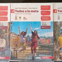 Todos a la meta Zanichelli 
