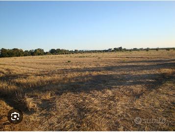 Terreno agricolo