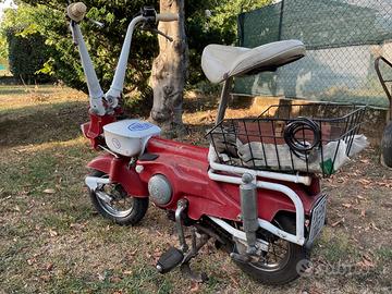 Motograziella sachs - Anni 70