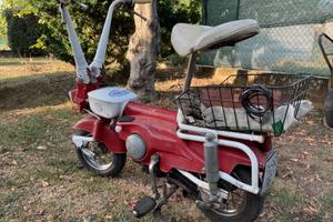 Motograziella sachs - Anni 70