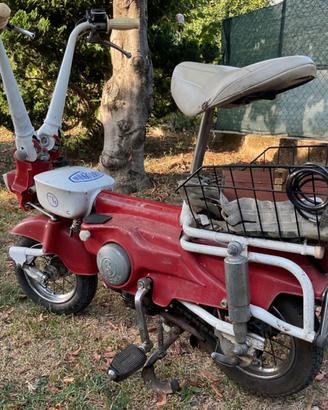 Motograziella sachs - Anni 70