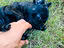 Immagine 6