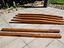 Immagine 6