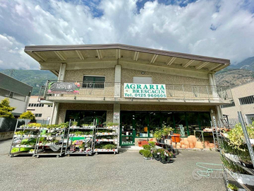 Capannone con alloggio