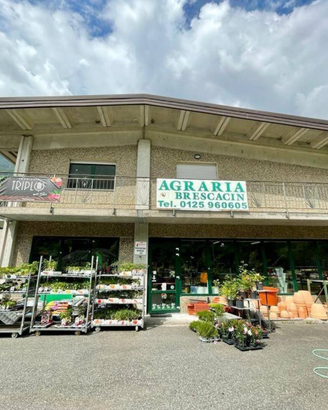 Capannone con alloggio