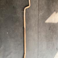 Centrale scarico peugeot 106 rallye