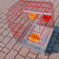 Gabbia  per  uccelli  con  accessori
