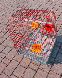 Gabbia  per  uccelli  con  accessori