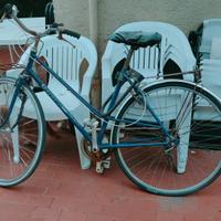 Bicicletta rondinella Olmo