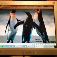 Monitor LG Flatron L1510S 15"
