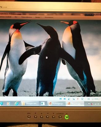 Monitor LG Flatron L1510S 15"