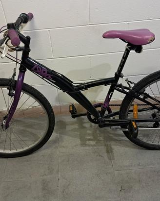 bicicletta 
