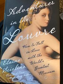 Libro Adventures in the Louvre