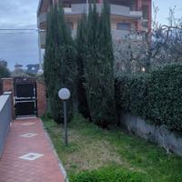Cipressi in omaggio ad Aprilia