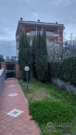 Cipressi in omaggio ad Aprilia