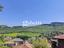 Immagine 7