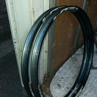 Coppia cerchi. Downhill