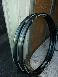 Coppia cerchi. Downhill