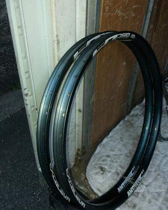 Coppia cerchi. Downhill