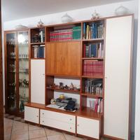 mobile tv libreria 