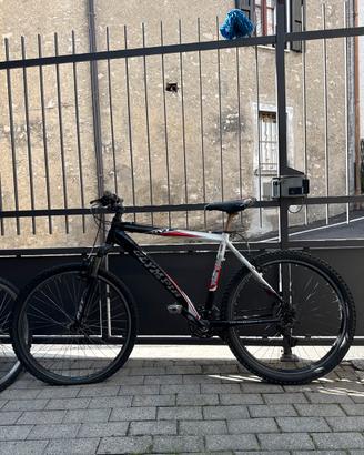 Bicicletta mtb
