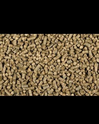 Lettiera naturale per roditori