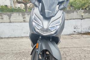 Honda forza 2019