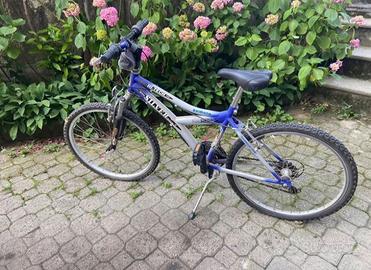 Bicicletta