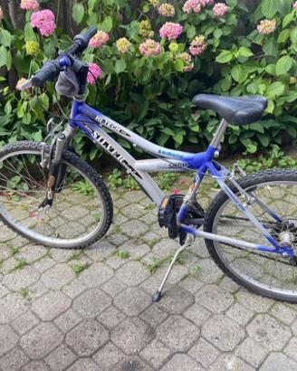 Bicicletta