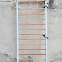 Spalliera palestra svedese Scala svedese