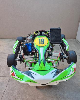 carene go kart kz