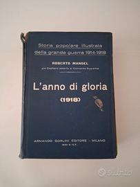 Storia popolare illustrata della grande guerra 