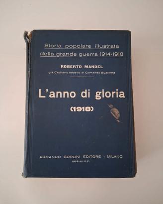 Storia popolare illustrata della grande guerra 