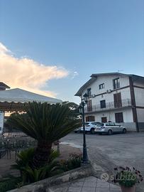 Bilocale appena ristrutturato