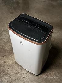 Condizionatore pinguino Electrolux