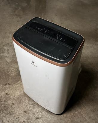 Condizionatore pinguino Electrolux