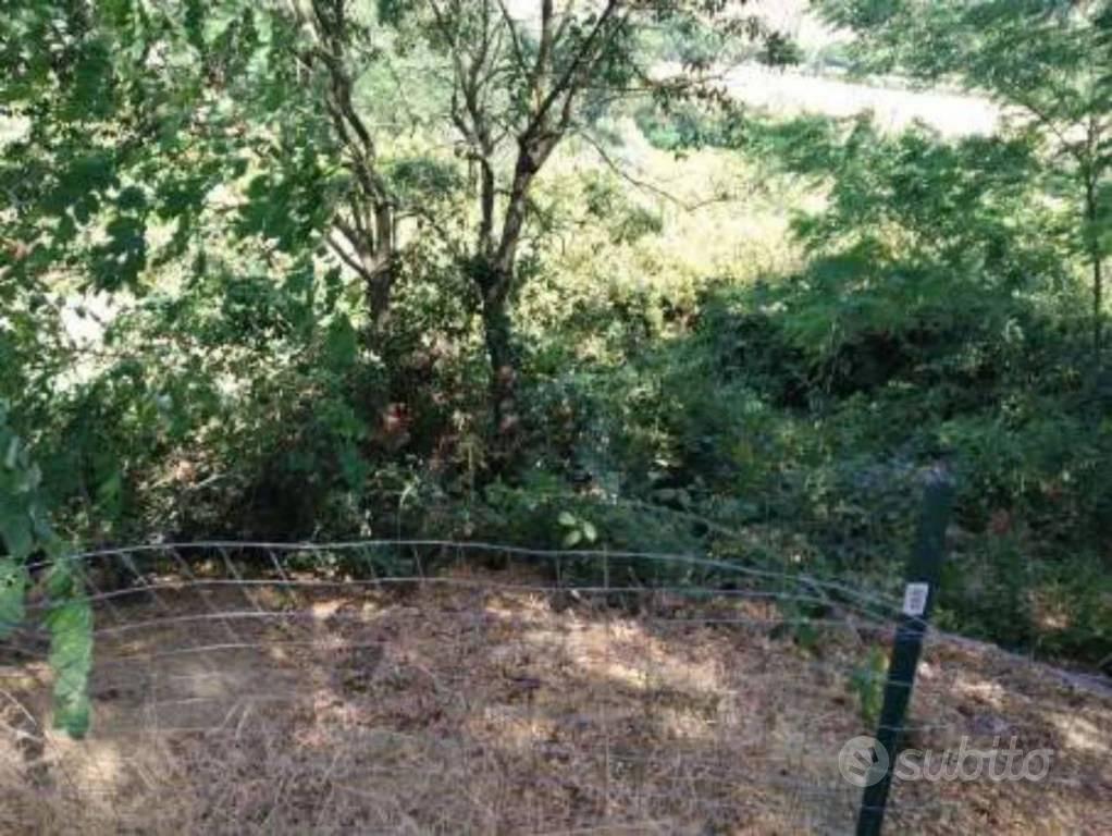 Appartamento – Certaldo, Firenze - Altro