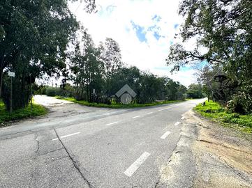 TER. AGRICOLO A MURAVERA