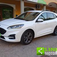 LINK MOTORS: FORD KUGA 2.0 TDCI HYBRID 150 CV