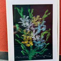 Quadro Novella Parigini