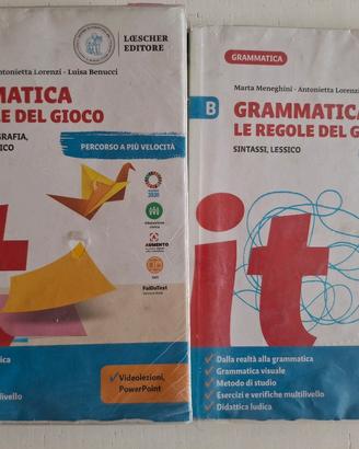 Grammatica - le regole del gioco
