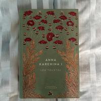 Libro anna karenina