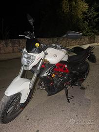 Benelli 302