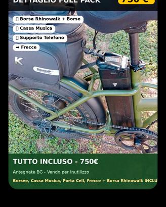 bicicletta elettrica 